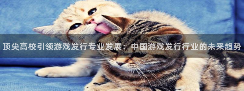 作者亿万28子小说：顶尖高校引领游戏发行专业发展：中国游戏发行行业的未来趋势
