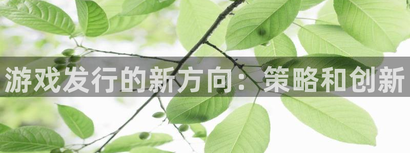 亿万28官网官网注册账号：游戏发行的新方向：策略和创新