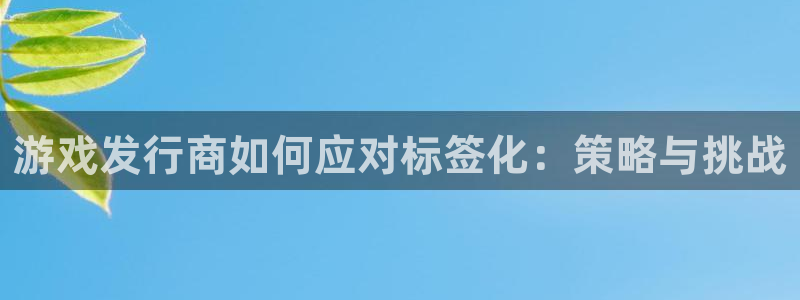 广州亿万28运动服：游戏发行商如何应对标签化：策略与挑战