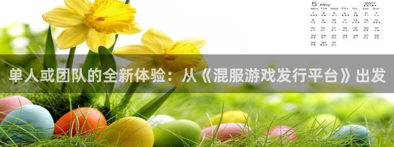 亿万28官网登录注册账号失败：单人或团队的全新体验：从《混服游戏发行平台》出发