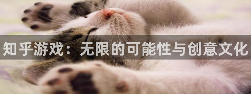亿万28官网注册登录不了：知乎游戏：无限的可能性与创意文化