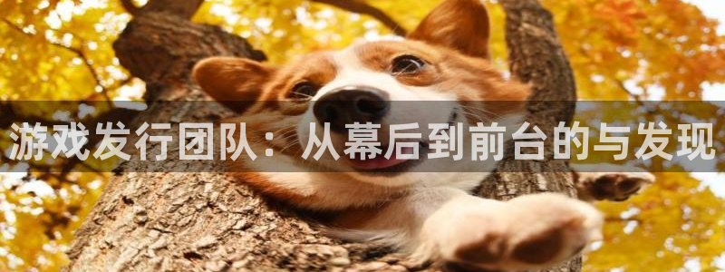 亿万28电子商务怎么样：游戏发行团队：从幕后到前台的与发现