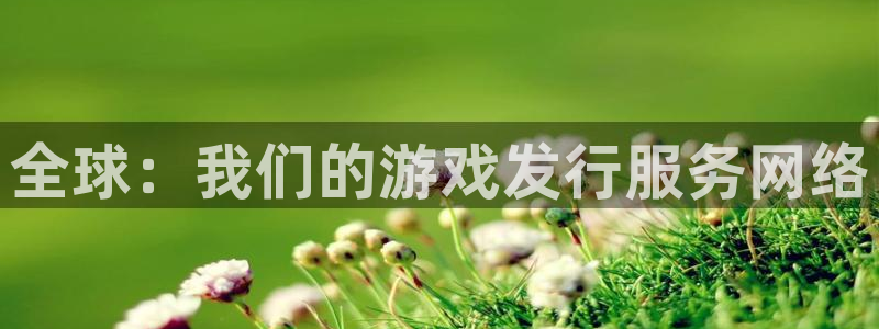 亿万28官网代理开号平台：全球：我们的游戏发行服务网络