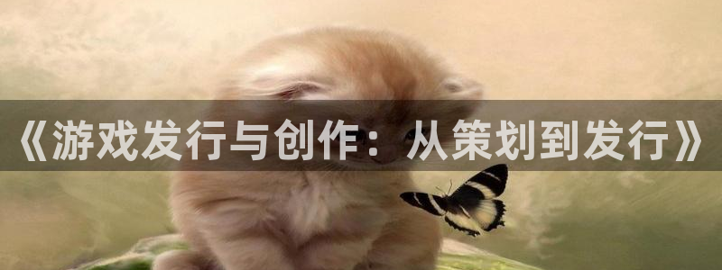 法国亿万28：《游戏发行与创作：从策划到发行》