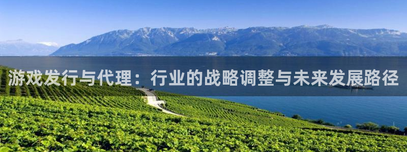 亿万28官网：游戏发行与代理：行业的战略调整与未来发展路径