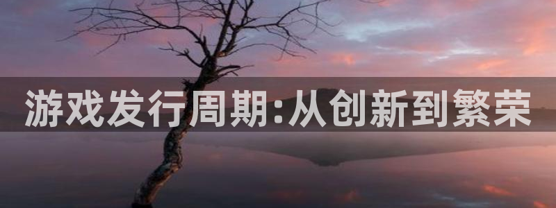 亿万28技术有限公司怎么样：游戏发行周期:从创新到繁荣