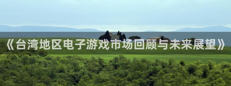 亿万28子的图片：《台湾地区电子游戏市场回顾与未来展望》