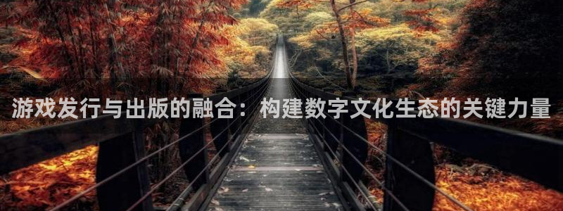亿万28官网骗局是真的吗：游戏发行与出版的融合：构建数字文化生态的关键力量