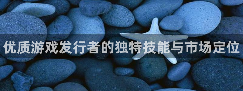亿万28子文化创意有限公司：优质游戏发行者的独特技能与市场定位