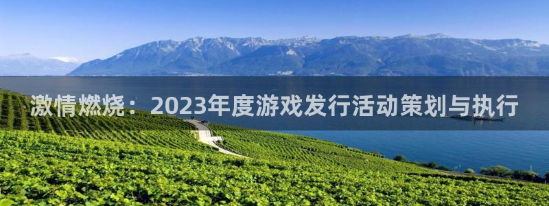 陕西亿万28子文化创意有限公司是做什么的：激情燃烧：2023年度游戏发行活动策划与执行