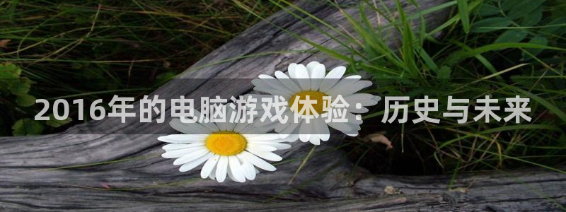 苏州亿万28网络科技有限公司：2016年的电脑游戏体验：历史与未来