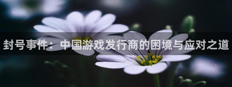 亿万28子文化是什么：封号事件：中国游戏发行商的困境与应对之道