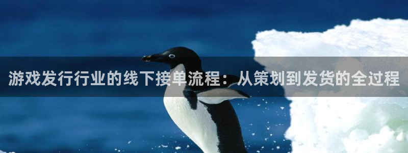 亿万28官网注册平台怎么注册：游戏发行行业的线下接单流程：从策划到发货的全过程