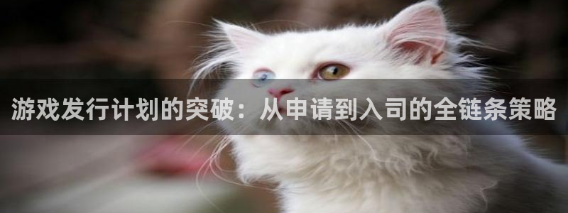 亿万28官网注册平台登录不上：游戏发行计划的突破：从申请到入司的全链条策略