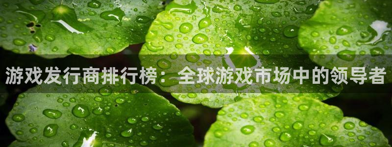 亿万28官网注册方法视频：游戏发行商排行榜：全球游戏市场中的领导者