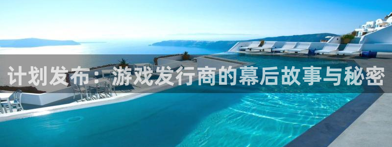 亿万28电子商务有限公司怎么样啊：计划发布：游戏发行商的幕后故事与秘密