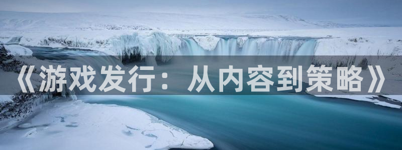 亿万28电子商务有限公司怎么样：《游戏发行：从内容到策略》