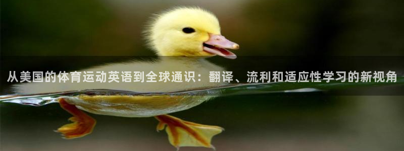 vsport体育：从美国的体育运动英语到全球通识：翻译、流利和适应性学习的新视角