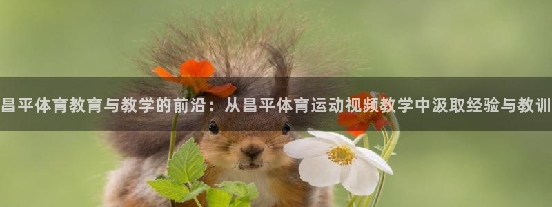 vsport体育在线官网：昌平体育教育与教学的前沿：从昌平体育运动视频教学中汲取经验与教训