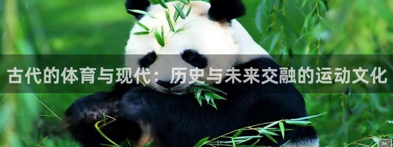 vsport体育：古代的体育与现代：历史与未来交融的运动文化