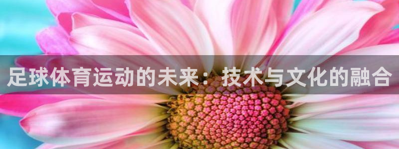 vsport体育：足球体育运动的未来：技术与文化的融合