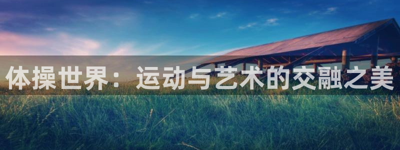 vsport体育在线官网：体操世界：运动与艺术的交融之美