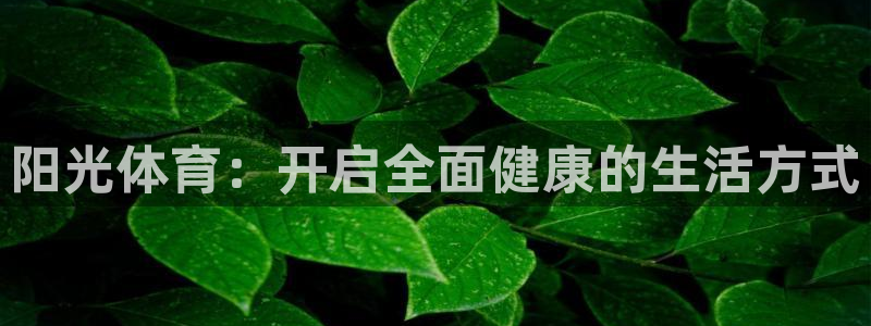 vsport体育：阳光体育：开启全面健康的生活方式