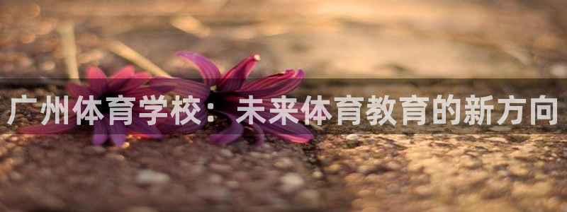 vsport体育：广州体育学校：未来体育教育的新方向