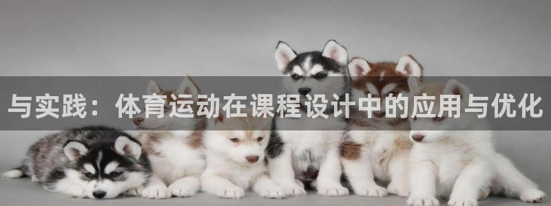 vsport体育：与实践：体育运动在课程设计中的应用与优化