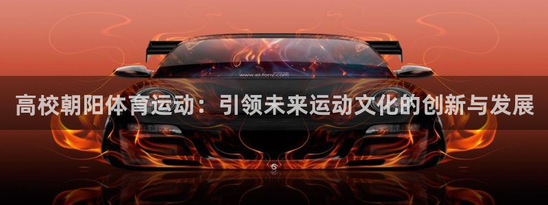 vsport体育在线官网：高校朝阳体育运动：引领未来运动文化的创新与发展