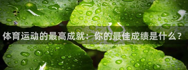 vsport体育：体育运动的最高成就：你的最佳成绩是什么？