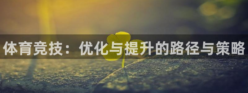 vsport体育：体育竞技：优化与提升的路径与策略