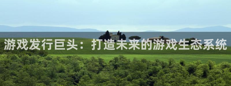 亿万28官网登录注册失败怎么办：游戏发行巨头：打造未来的游戏生态系统